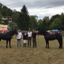 Premiati: Everest, Aigo e Delice, i cavalli di Merens di Dronero