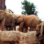 Viaggio nell’India del sud, esoterica e misteriosa