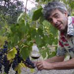 Nerum Vino Etrusco di Tarazona: Archeologia sperimentale di Francesco Mondini... un po' di storia