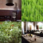 Le cene de Il Magiono, in un antico mulino