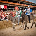 Palio degli asini 2016 by Enrico Crippa e Bob Noto - Alba 2 ottobre