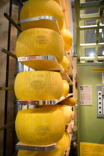 cibustec 2016- forme-parmigiano