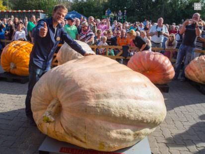 Record del mondo: zucca di 1054 kg  Beni Meier  