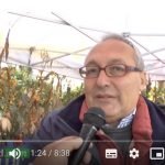 Storia della Polenta di Storo by Comolli (Video)