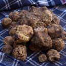 San Sebastiano Curone: giornata del tartufo