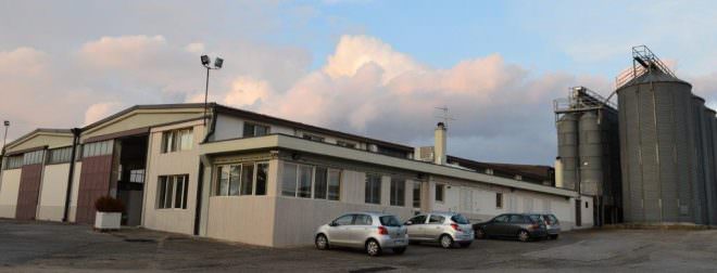 cerealmangini-di-adorante