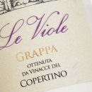 Le viole della Cupertinum nel salento