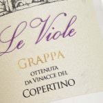 Le viole della Cupertinum nel salento