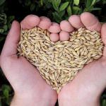 Terra Madre Day nell'ex Lanificio con Slow Food