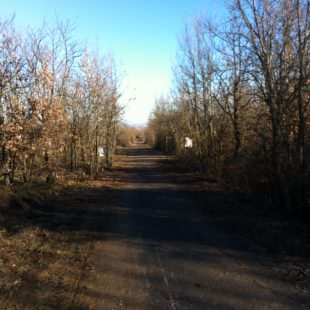 R-G strada da sud a nord inizio asfalfo