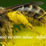 ADI: miele 100% Italiano BIO dei suoi milleseicento alveari