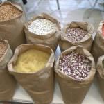 BioFach - Vivanes 2017: Prima giornata (Video)