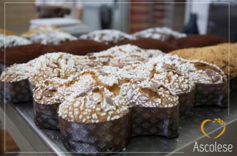 Colomba artigianale Ascolese