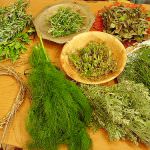 Garden Store Agri Brianza: Alessandro Magagnini e i segreti delle erbe aromatiche