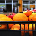 Fida–Confcommercio: basta speculazioni stampa sui prezzi dell’ortofrutta