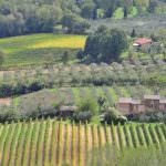 I migliori Oli e Vini in degustazione all'Hotel Principe di Savoia