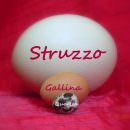 Eggs Bistrot: al posto di “Pianostrada” a Trastevere