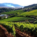 Baglio di Pianetto: La Maison del Vino del Conte Marzotto compie 20 anni