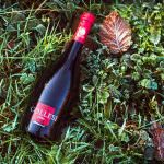 Birra Collesi: L’artigianale di Apecchio trionfa in Germania, Australia, Usa e Spagna