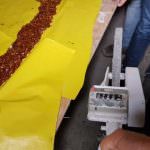 Nuovo record per Nicola Fiasconaro a Blue Sea Land di Mazara del Vallo