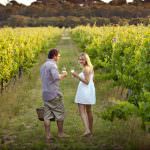 Tour delle cantine e degustazioni di vino. L’enoturismo secondo Giordano Vini