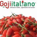 Rosario Previtera: venite a scoprire le grandi novità del Goji Italiano a Tuttofood