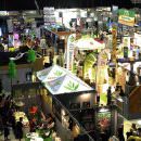 Indica Sativa Trade a Bologna: La fiera della Canapa, pianta stupefacente