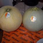 Saldolce meraviglia di sapori: Grana Padano DOP e Melone Mantovano IGP