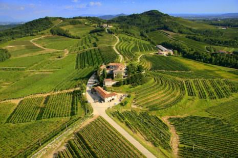 Tenuta Genagricola Torre Rosazza