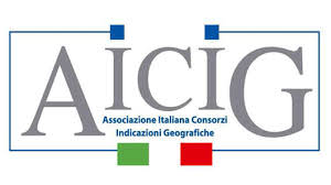 logo AICIG