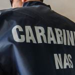 Giurisprudenza: Cozze con escherichia coli e Tonno taroccato