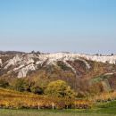 Illica Vini Bio, una scoperta piacevole, spumanti Biologici sui colli piacentini