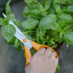 Galeotto il viaggio a Matera e il 50° delle forbici Finlandesi Fiskars