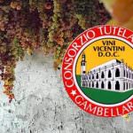 Gambellara e Soave, una bollicina dietro l’altra