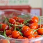 Goji Italiano: scoperte nuove virtù della bacca della salute