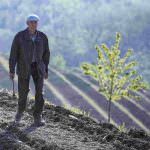 JOSKO GRAVNER: A DEDNO SI AVVERA IL SOGNO DI UN GIARDINO VITATO