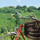 BOLLICINE E BICI IN OLTREPO’