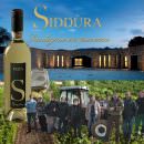 Vermentino di Gallura superiore Maìa 2015 Siddura:  Tre Bicchieri guida “Vini d’Italia 2018” del Gambero Rosso