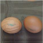 L'uovo UFO di Bologna: Stranezze di natura o manipolazioni umane?