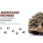 SAN ZENO CASTAGNE, BARDOLINO & MONTE VERONESE: IN SCENA I PRODOTTI DEL BALDO IN SCENA