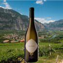 Sauvignon Trentino Doc 2016, La-Vis e Valle di Cembra