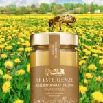 Le Esperienze di ADI, miele millesimato del 'pastore di Api' d'Abruzzo