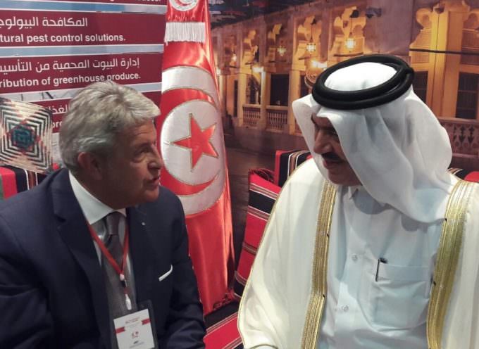 Blue Sea Land: Incontri di Giovanni Tumbiolo con Costa d’Avorio e Qatar