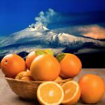 A Natale arance di Sicilia sotto l'albero direttamente dal produttore, appena colte