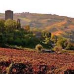 Colli piacentini DOC. Molti vini spumanti "VSQ". troppi?