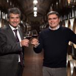 CANTINA VALPANTENA SUPERA I 50 MILIONI DI FATTURATO: BILANCIO RECORD