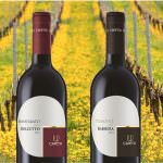 In Piemonte arriva la primavera: è tempo di Dolcetto e Barbera