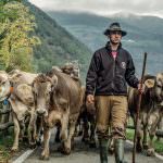 Food Made in Italy, “Nel 2018 ha trainato la ripresa italiana”