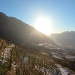 CANTINA TRAMIN PRESENTA MARJON RISERVA 2015