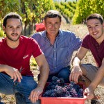 Vendemmia nelle Langhe nel santuario del Barbaresco - Intervista a Simone Allario Piazzo 